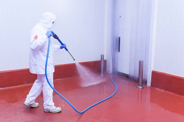 Best Graffiti Removal  in Mililani Town, HI